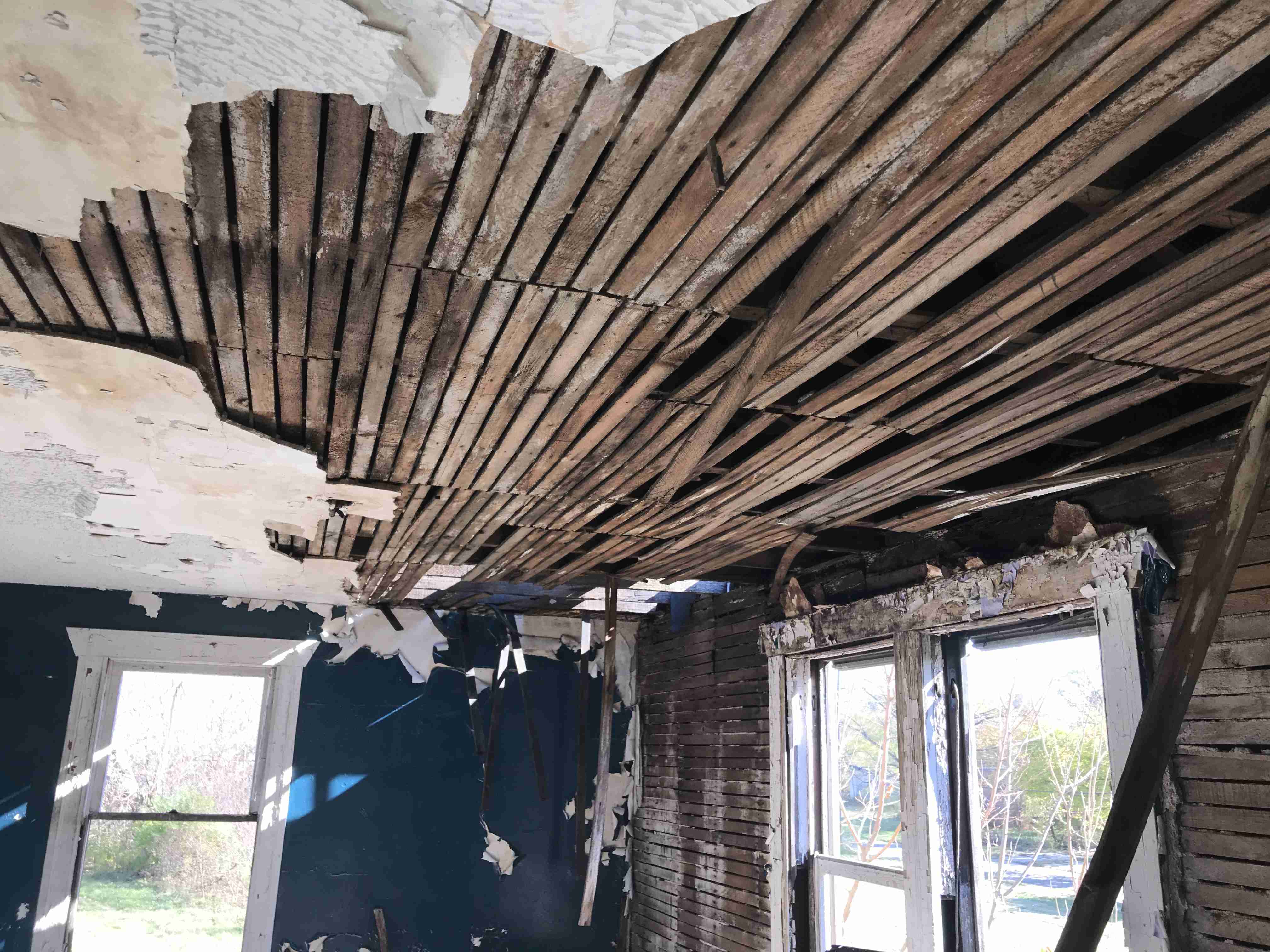 Photo Nov 03, 11 29 12 AM.jpg